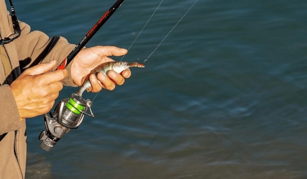 贵阳游记:探寻高原明珠的独特韵味与古今交融之美