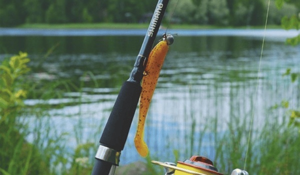 安庆至庐山高铁时刻表及沿途站点全攻略 安庆至庐山高铁时刻表及沿途站点全攻略