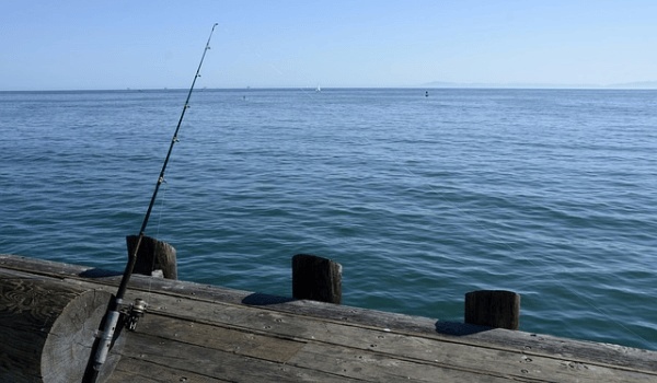 五一必游！石河子将军山芝樱花海，半月赏花期不容错过