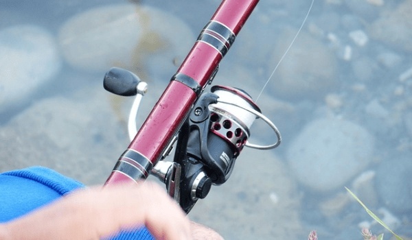 武夷山三天两夜深度游攻略:必玩景点+地道体验,游客力荐!