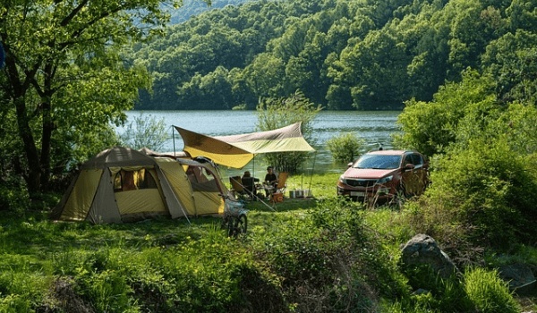 农业农村部发布全国布鲁氏菌病免疫区域及奶牛场名单,强化防控措施
