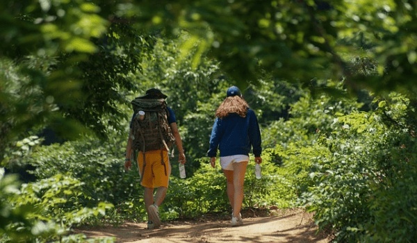 伊斯坦布尔深度游：从蓝色清真寺到香料市场